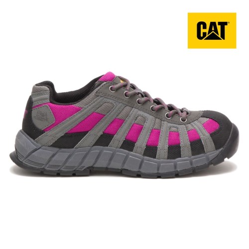 Caterpillar Switch Steel Toe Werkschoenen Dames Grijs/Roze (FWIU.NL)